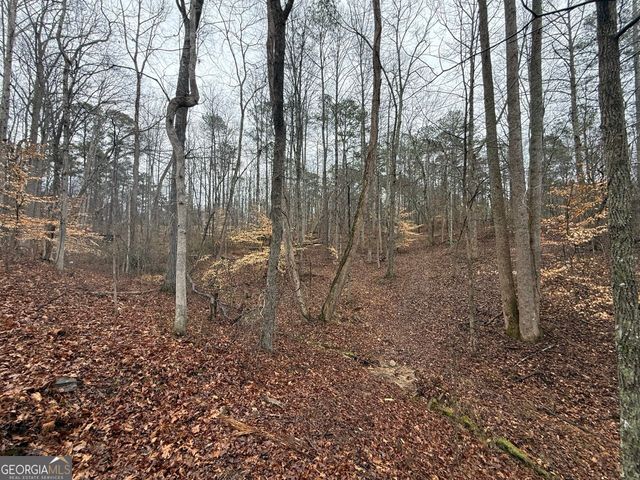 1670 Rock Springs Lane, Woodstock, GA 30188