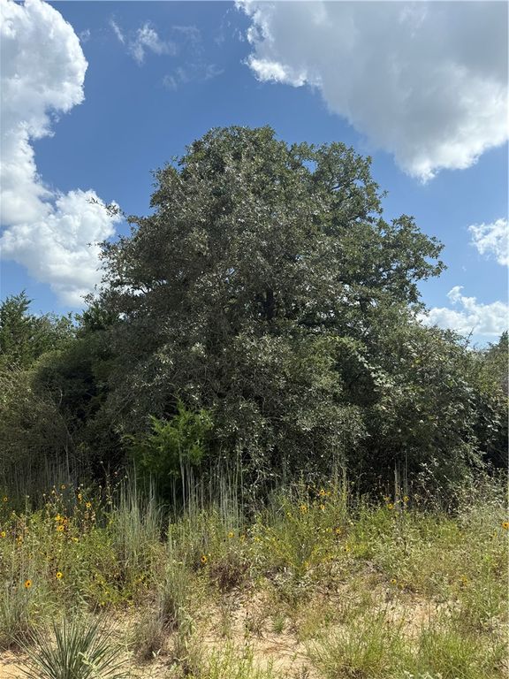 1163 Sugar Hill, Caldwell, TX 77836 — photo 2