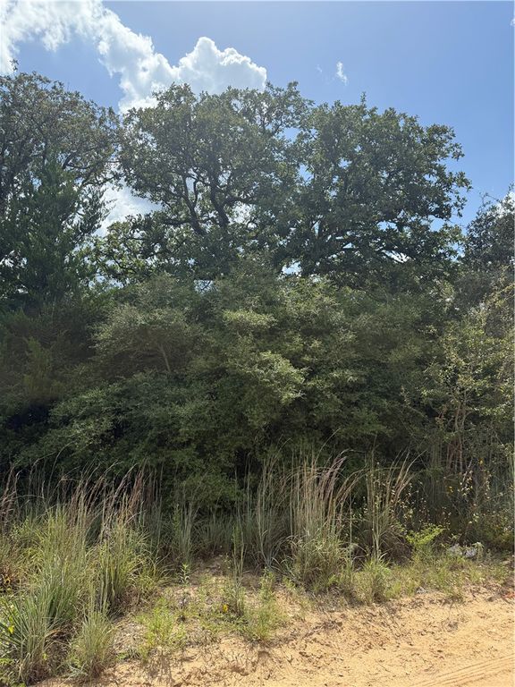 1163 Sugar Hill, Caldwell, TX 77836 — photo 4