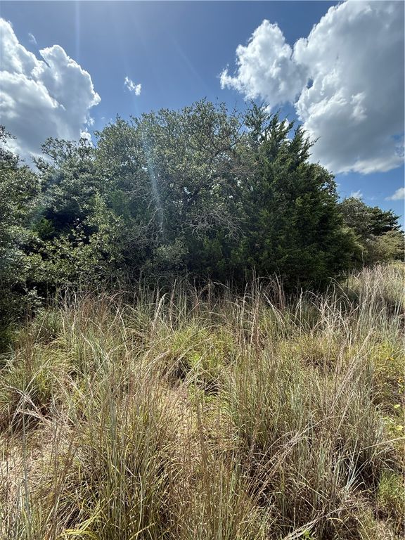 1163 Sugar Hill, Caldwell, TX 77836 — photo 5