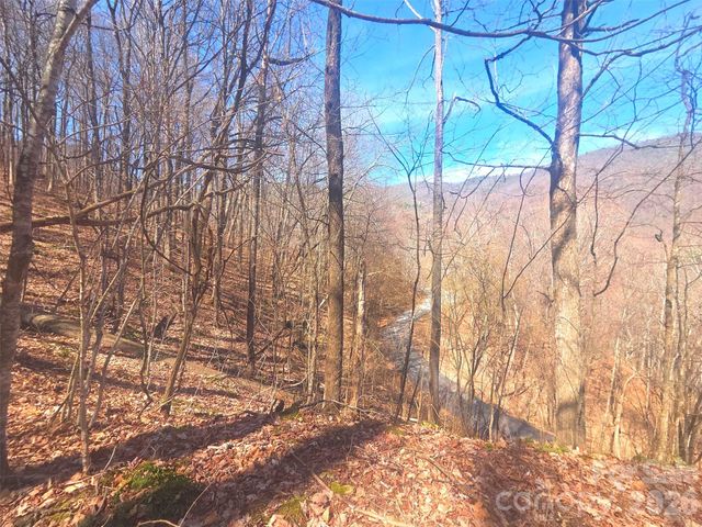 1200 Chestnut Flats Lane 138, Waynesville, NC 28786