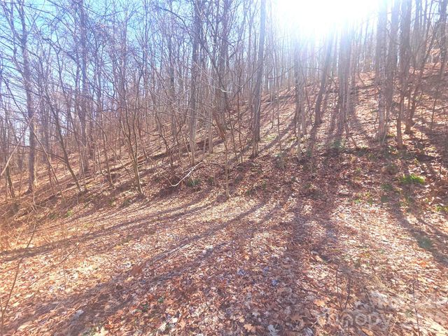 1200 Chestnut Flats Lane 138, Waynesville, NC 28786