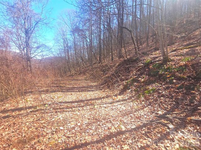 1200 Chestnut Flats Lane 138, Waynesville, NC 28786