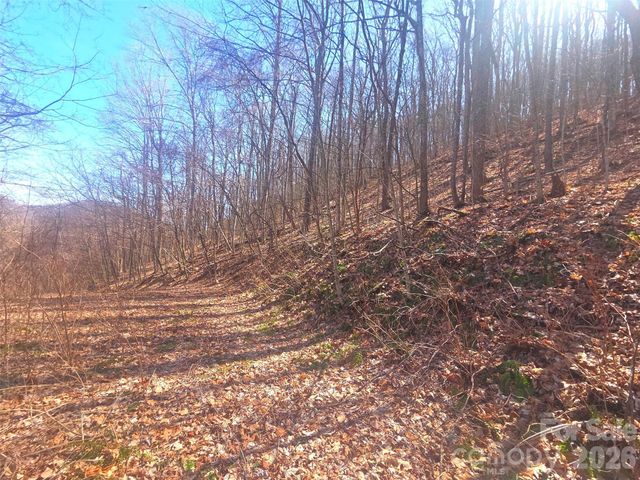 1200 Chestnut Flats Lane 138, Waynesville, NC 28786