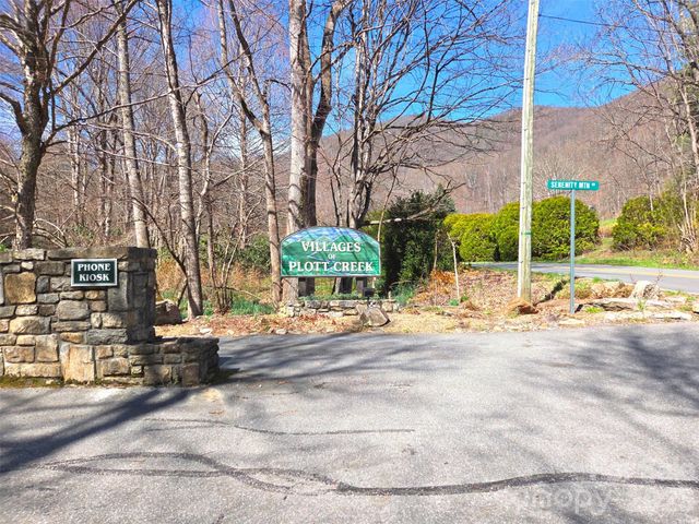 1200 Chestnut Flats Lane 138, Waynesville, NC 28786