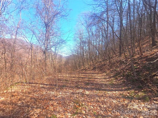 1200 Chestnut Flats Lane 138, Waynesville, NC 28786