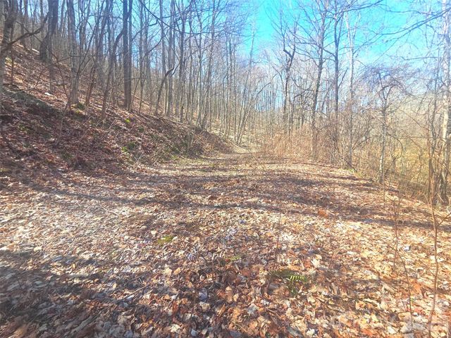 1200 Chestnut Flats Lane 138, Waynesville, NC 28786