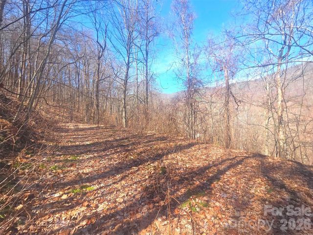 1200 Chestnut Flats Lane 138, Waynesville, NC 28786