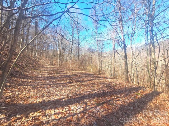 1200 Chestnut Flats Lane 138, Waynesville, NC 28786