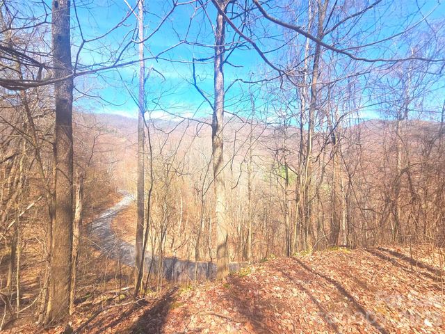 1200 Chestnut Flats Lane 138, Waynesville, NC 28786