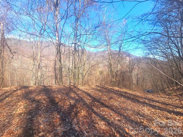 1200 Chestnut Flats Lane 138, Waynesville, NC 28786