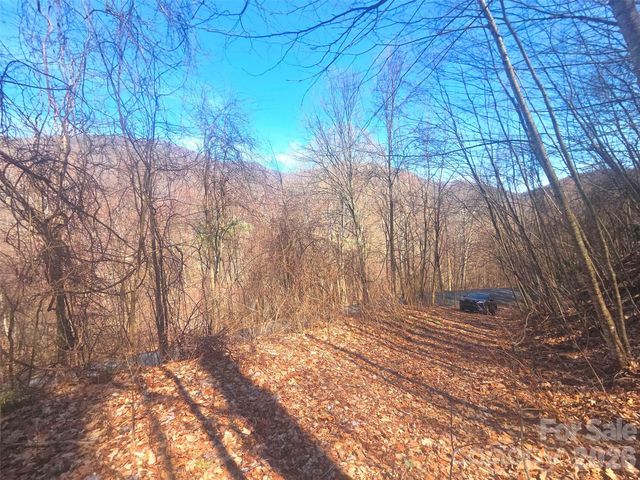 1200 Chestnut Flats Lane 138, Waynesville, NC 28786