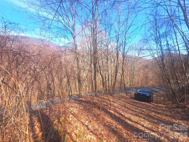 1200 Chestnut Flats Lane 138, Waynesville, NC 28786