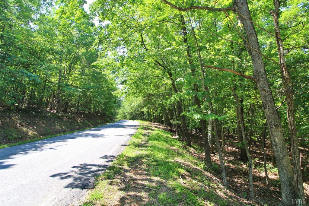 4 Smokey Hollow Road, Lynchburg, VA 24504
