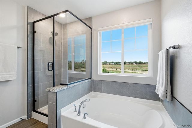 2497 Flats Street, Erie, CO 80516