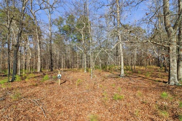 3180 NE Spring Lake NE Drive, Conyers, GA 30013