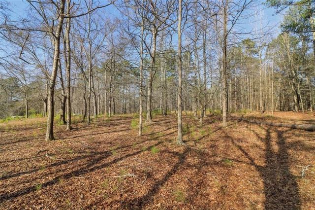 3180 NE Spring Lake NE Drive, Conyers, GA 30013