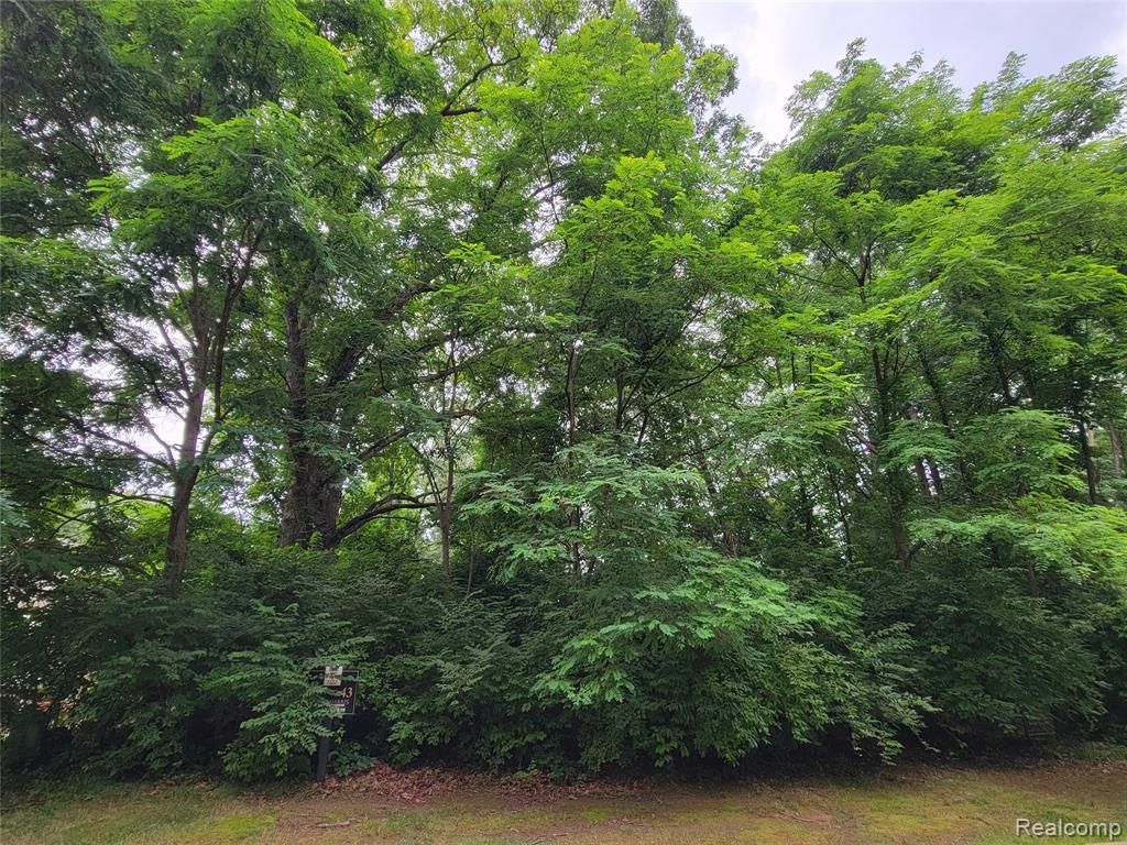 Lot 43 - Pinemont, Brighton, MI 48116