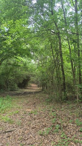 2016 County Road 1865 North, Grapeland, TX 75844