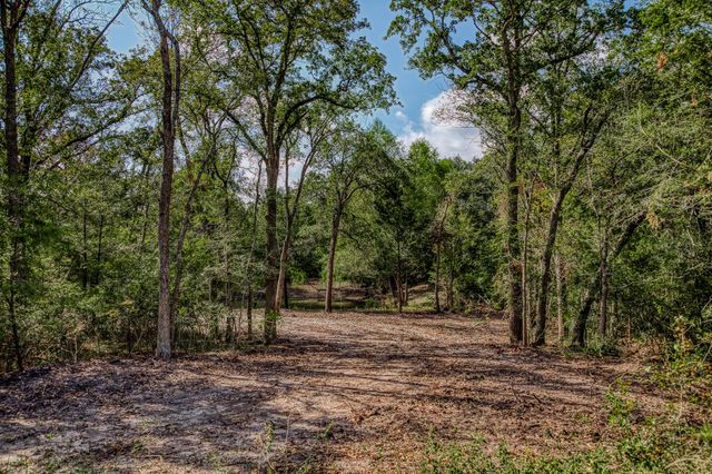 Tract 6 Sun Oil Road, Brenham, TX 77833