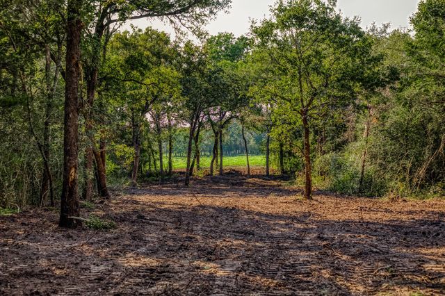 Tract 6 Sun Oil Road, Brenham, TX 77833