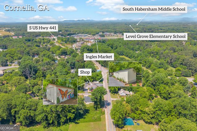 498 Level Grove Road, Cornelia, GA 30531