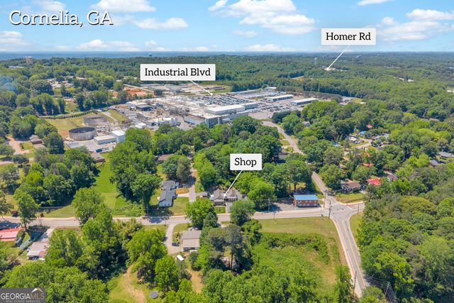 498 Level Grove Road, Cornelia, GA 30531
