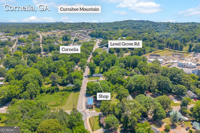498 Level Grove Road, Cornelia, GA 30531