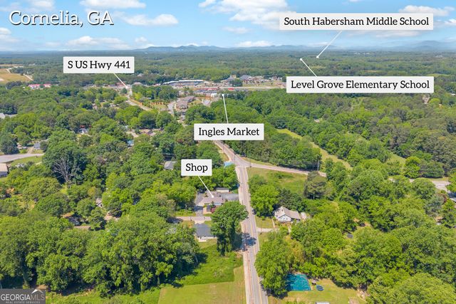 498 Level Grove Road, Cornelia, GA 30531