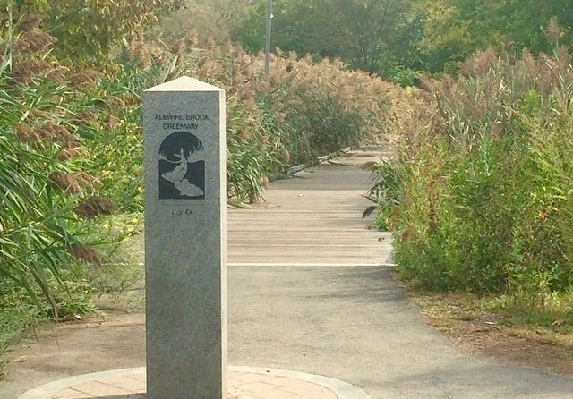 86 Fairmont Street 1, Arlington, MA 02474