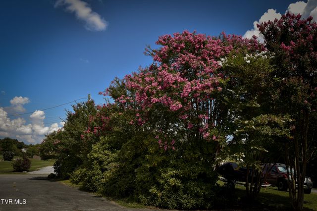 110 Paul Saylor Road, Jonesborough, TN 37659