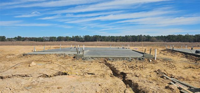 557 Wax Myrtle Way, Hockley, TX 77447