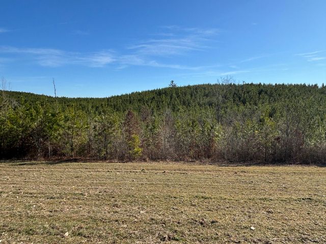 0 Dividing Ridge Road, Spring City, TN 37381