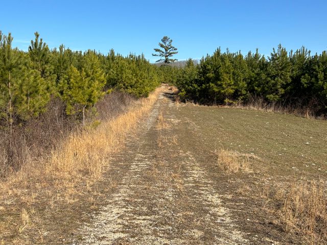 0 Dividing Ridge Road, Spring City, TN 37381