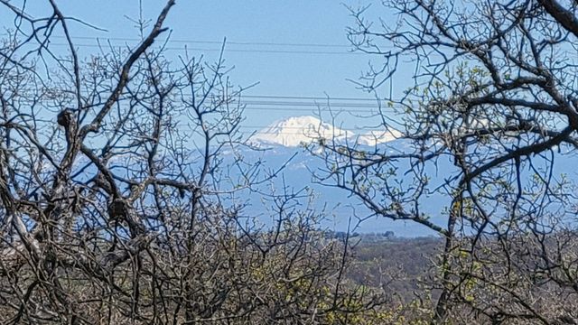 Lot 41 Quail Ridge Road, Cottonwood, CA 96022