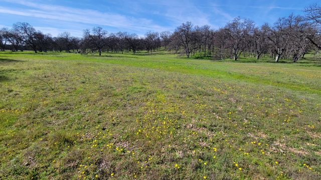 Lot 41 Quail Ridge Road, Cottonwood, CA 96022