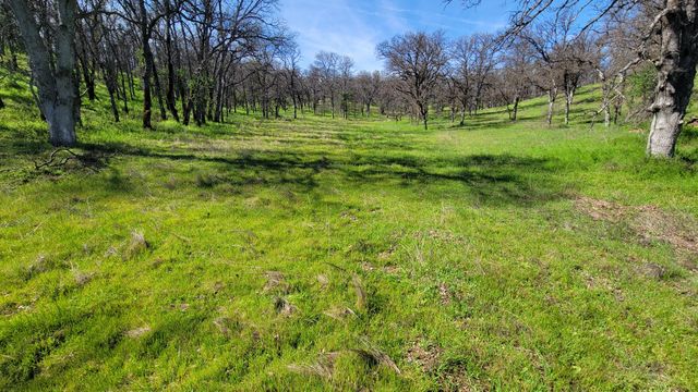 Lot 41 Quail Ridge Road, Cottonwood, CA 96022