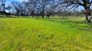 Lot 41 Quail Ridge Road, Cottonwood, CA 96022