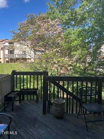1066 Pebble Drive 1066, Bristol, VA 24201