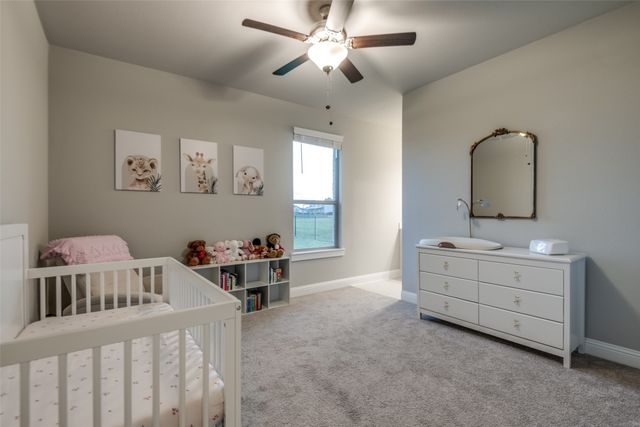 1301 Wilderness Lane, Forney, TX 75126