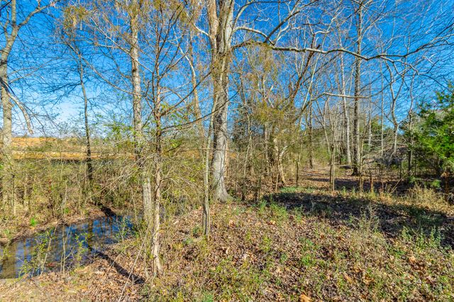 10372 Magnolia Farm Drive 15, Apison, TN 37302