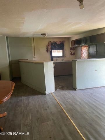 127 Delord Street, Lafayette, LA 70501