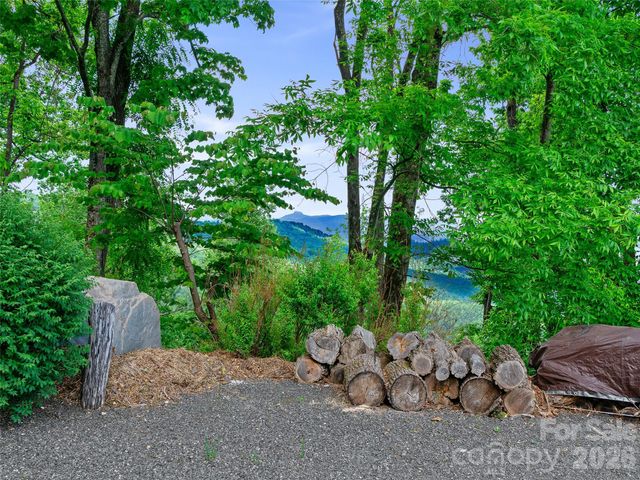 729 Bear Wallow Road, Little Switzerland, NC 28749