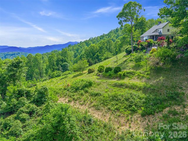 729 Bear Wallow Road, Little Switzerland, NC 28749