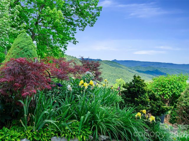 729 Bear Wallow Road, Little Switzerland, NC 28749