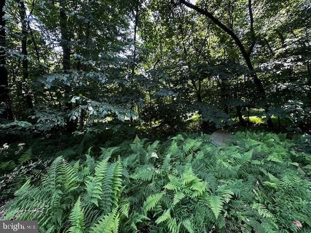 538 TWO MILE RD, Howard, PA 16841