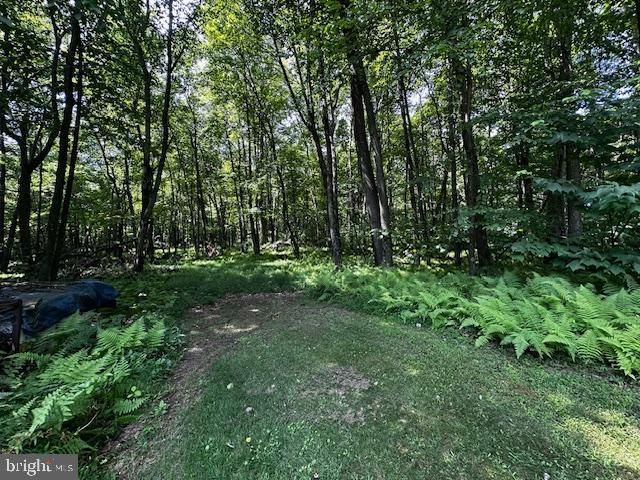 538 TWO MILE RD, Howard, PA 16841