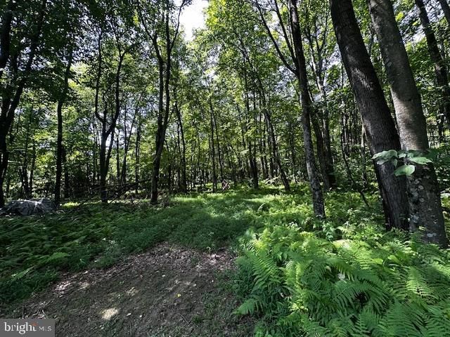 538 TWO MILE RD, Howard, PA 16841