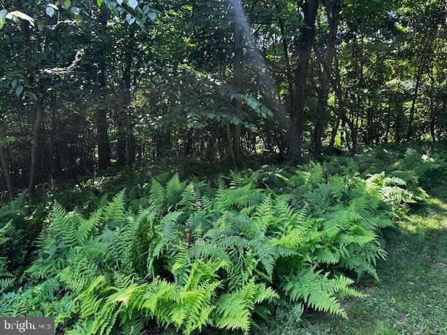 538 TWO MILE RD, Howard, PA 16841