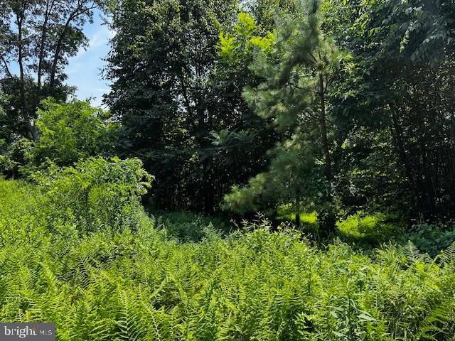 538 TWO MILE RD, Howard, PA 16841